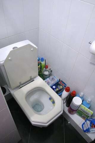 Проживание в семье CENTER, MAIDAN 1 Separate Guest Room for 1 PERSON ONLY in a Big Apartment Shared with the Lessor Киев Одноместный номер с балконом-62